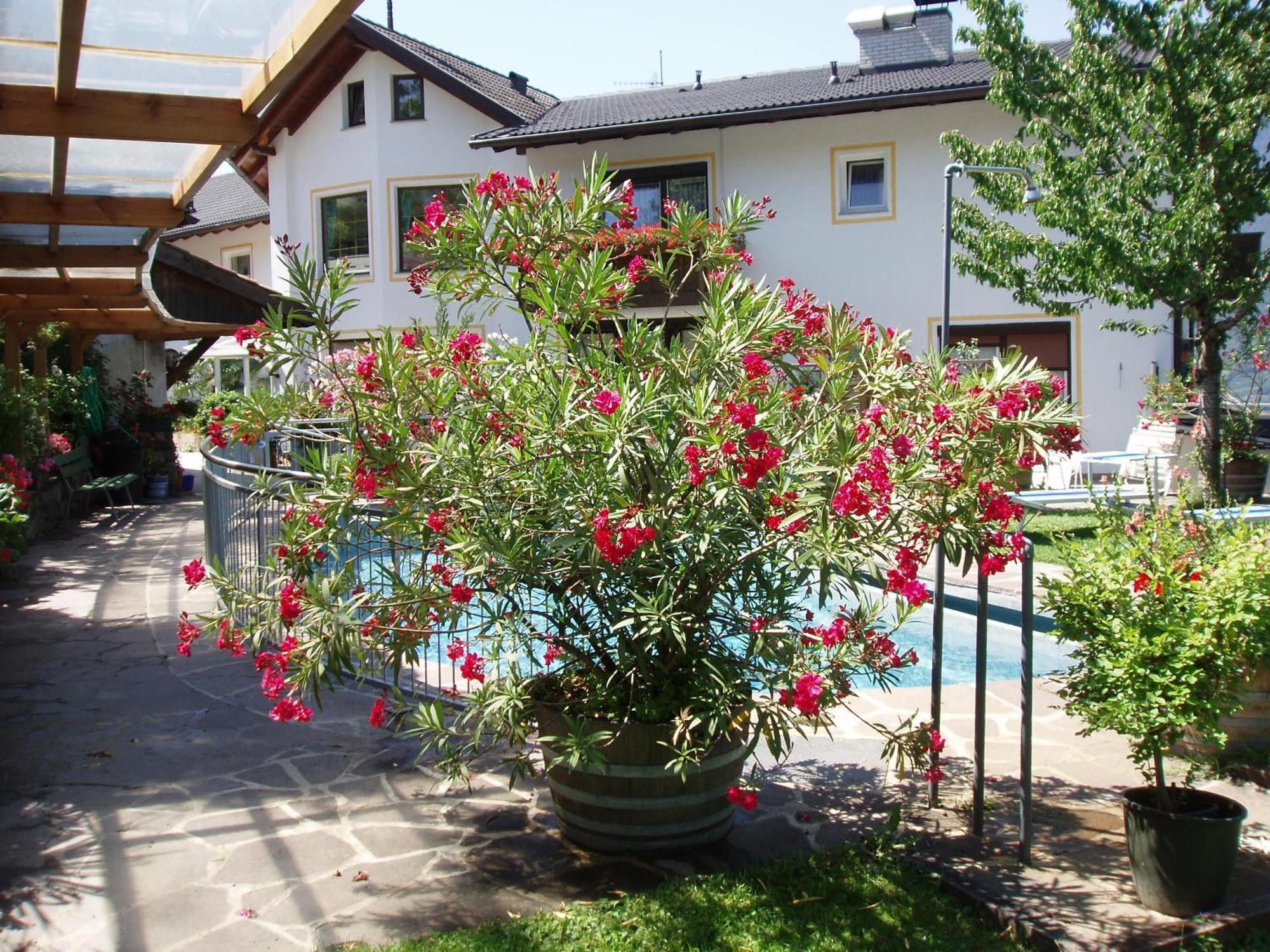 Hotel Bellevue Tirolo Dış mekan fotoğraf