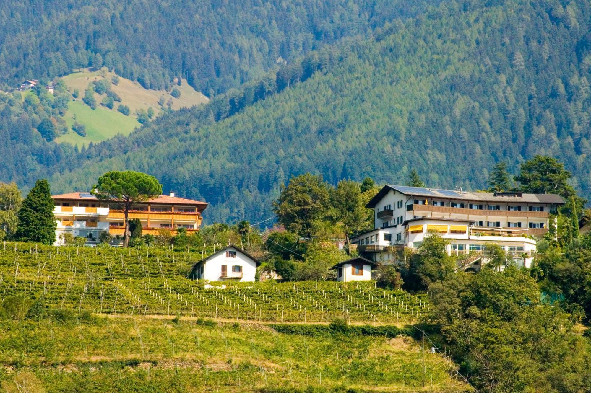 Hotel Bellevue Tirolo Dış mekan fotoğraf