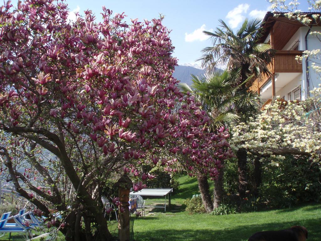 Hotel Bellevue Tirolo Dış mekan fotoğraf